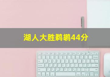 湖人大胜鹈鹕44分