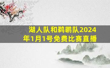 湖人队和鹈鹕队2024年1月1号免费比赛直播