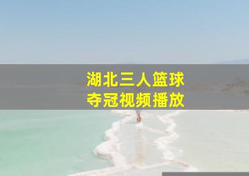 湖北三人篮球夺冠视频播放