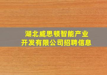 湖北威思顿智能产业开发有限公司招聘信息