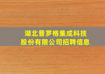 湖北普罗格集成科技股份有限公司招聘信息