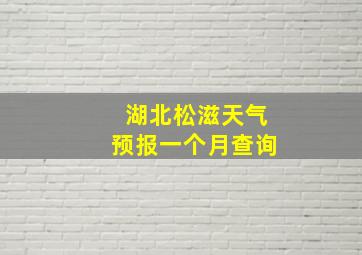 湖北松滋天气预报一个月查询