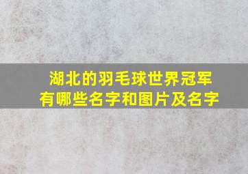 湖北的羽毛球世界冠军有哪些名字和图片及名字