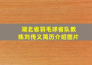 湖北省羽毛球省队教练刘传义简历介绍图片