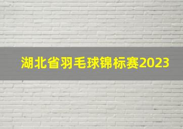 湖北省羽毛球锦标赛2023