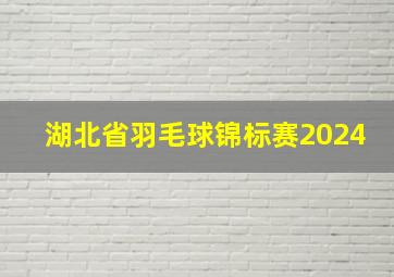 湖北省羽毛球锦标赛2024