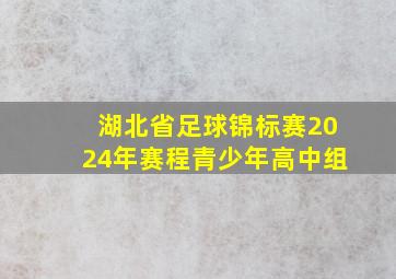 湖北省足球锦标赛2024年赛程青少年高中组