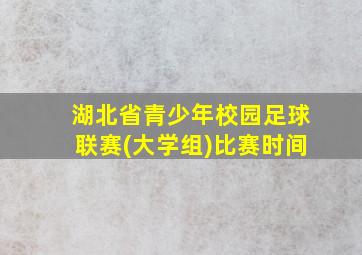 湖北省青少年校园足球联赛(大学组)比赛时间