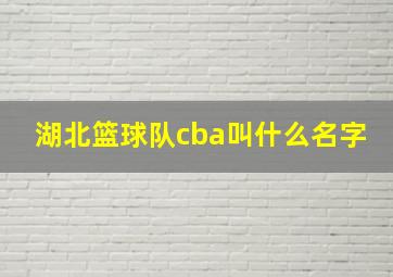 湖北篮球队cba叫什么名字