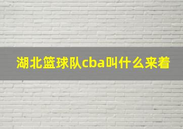 湖北篮球队cba叫什么来着