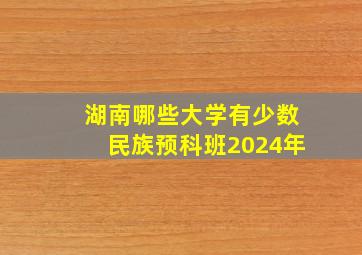 湖南哪些大学有少数民族预科班2024年