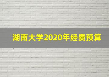 湖南大学2020年经费预算