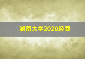 湖南大学2020经费