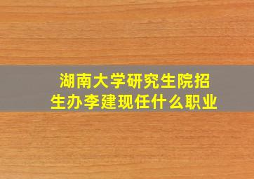 湖南大学研究生院招生办李建现任什么职业