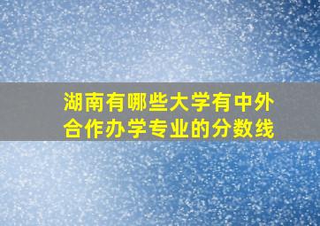 湖南有哪些大学有中外合作办学专业的分数线