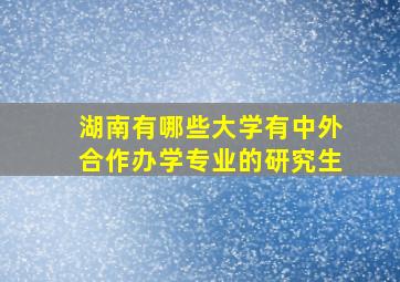 湖南有哪些大学有中外合作办学专业的研究生