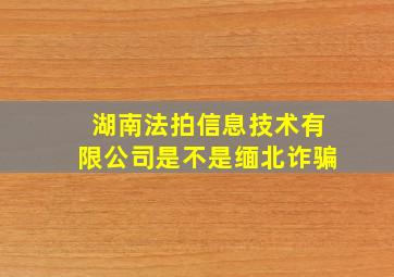 湖南法拍信息技术有限公司是不是缅北诈骗