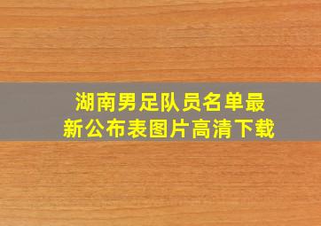 湖南男足队员名单最新公布表图片高清下载