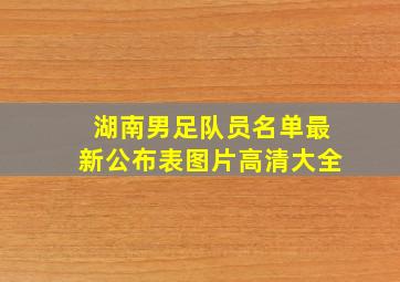 湖南男足队员名单最新公布表图片高清大全