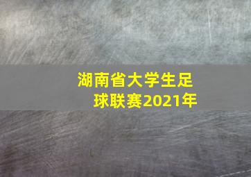 湖南省大学生足球联赛2021年