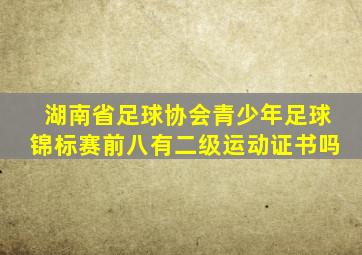 湖南省足球协会青少年足球锦标赛前八有二级运动证书吗