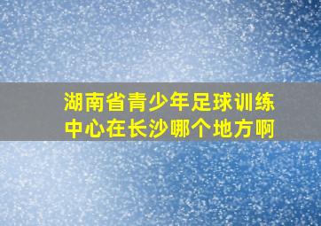 湖南省青少年足球训练中心在长沙哪个地方啊