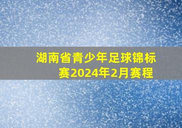 湖南省青少年足球锦标赛2024年2月赛程