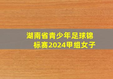 湖南省青少年足球锦标赛2024甲组女子