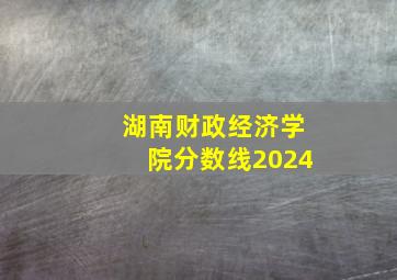 湖南财政经济学院分数线2024