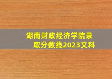 湖南财政经济学院录取分数线2023文科