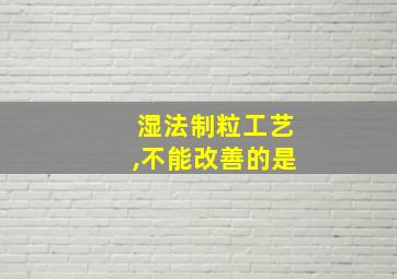 湿法制粒工艺,不能改善的是