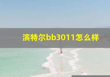 滨特尔bb3011怎么样