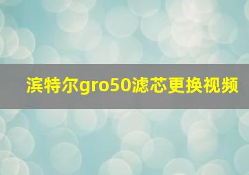 滨特尔gro50滤芯更换视频