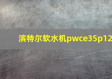 滨特尔软水机pwce35p12