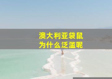 澳大利亚袋鼠为什么泛滥呢