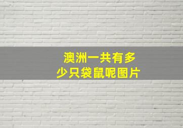 澳洲一共有多少只袋鼠呢图片