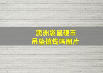 澳洲袋鼠硬币吊坠值钱吗图片