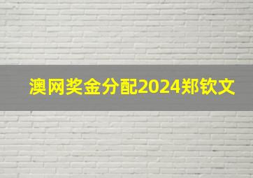 澳网奖金分配2024郑钦文