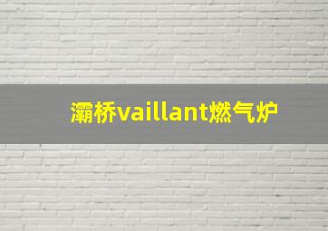 灞桥vaillant燃气炉