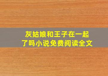 灰姑娘和王子在一起了吗小说免费阅读全文