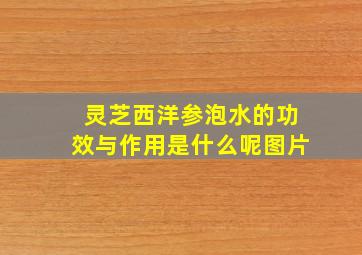 灵芝西洋参泡水的功效与作用是什么呢图片