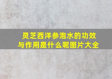 灵芝西洋参泡水的功效与作用是什么呢图片大全