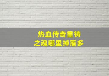 热血传奇重铸之魂哪里掉落多