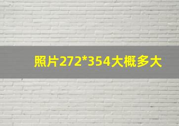 照片272*354大概多大