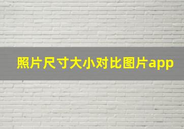 照片尺寸大小对比图片app