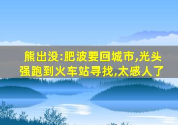 熊出没:肥波要回城市,光头强跑到火车站寻找,太感人了