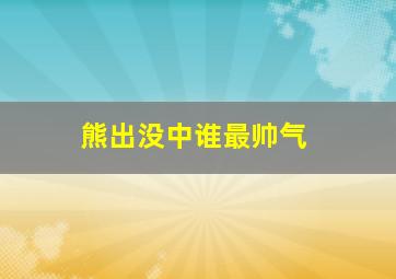 熊出没中谁最帅气