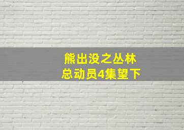 熊出没之丛林总动员4集望下