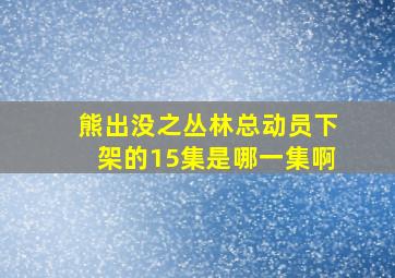 熊出没之丛林总动员下架的15集是哪一集啊