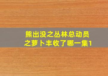 熊出没之丛林总动员之萝卜丰收了哪一集1